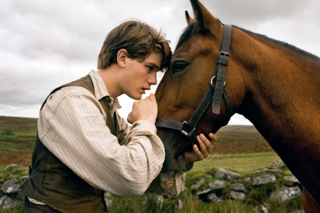 WAR HORSE