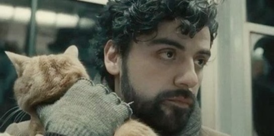 LLEWYN1