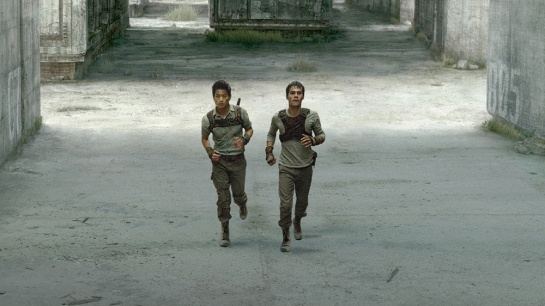 THE MAZE RUNNER Minho (Ki Hong Lee, left) and Thomas (Dylan O'Brien, right) search for a way out of the maze. TM and © 2014 Twentieth Century Fox Film Corporation. All Rights Reserved. Not for sale or duplication.