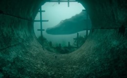 First Glance: “Crawl”