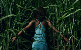 REVIEW: “In the Tall Grass”&nbsp;(2019)