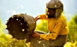REVIEW: “Honeyland” (2019)