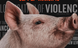 REVIEW: “The Hunt”&nbsp;(2020)