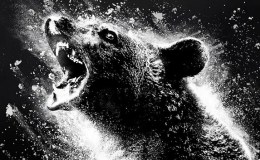 REVIEW: “Cocaine Bear”&nbsp;(2023)