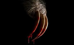 REVIEW: “Slotherhouse” (2023)