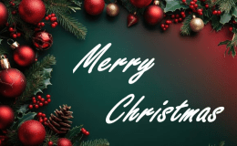 MERRY CHRISTMAS !!!