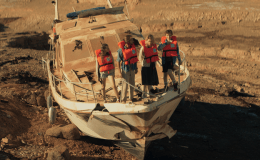 REVIEW: “Survive” (2025)