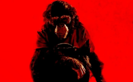 REVIEW: “Primate” (2026)