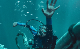 REVIEW: “Whalefall” (2026)